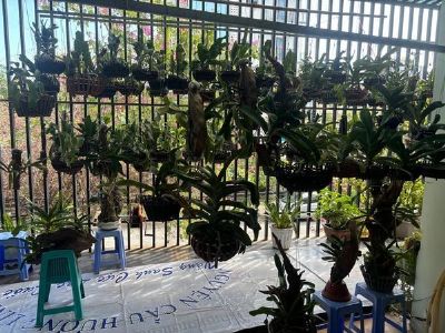 Cần bán căn nhà Hot 1 căn 2 tầng , Sơn Trà , Đà Nẵng