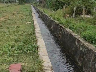 Cần bán 900m cây trồng ở thuận hoà, view hồ bao đẹp, sát bên kênh nước chảy quanh năm .