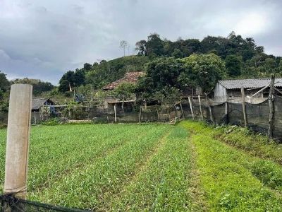 Em hơn 3000m có 400m thổ cư, ô tô quay đầu thoải mái, đất bằng , lưng tựa đồi tại Chiềng Ngần SL