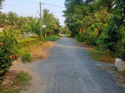 Bán đất nền thổ cư và ruộng nối liền kề sau nền thuộc xã Tây phú thoại sơn an giang