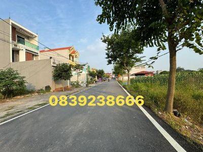 Chính chủ cần tiền bán cắt lỗ lô đất đấu giá cực đẹp tại Tân Dân,Khoái Châu,Hưng Yên