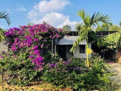 Nhà vườn diện tích: 3964m2 ( TC:250m2 ) Vị trí : Đăk Hà - Kon Tum