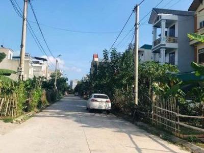 Cần tiền chính chủ gửi bán nhanh 2 lô đất Ngõ Vũ Duy Thanh Bích Đào Ninh Bình