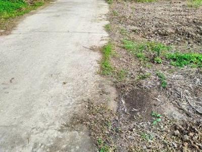 Bán Nền Mặt Tiền Đan 3,5m và Vuông Tôm Trồng Lúa Xen Kẽ
