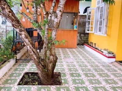 CHO THUÊ VILLA SÂN VƯỜN CÓ CÂY ĐÀO GẦN GA ĐÀ LẠT - Tiện đi bộ ra Hồ Xuân Hương