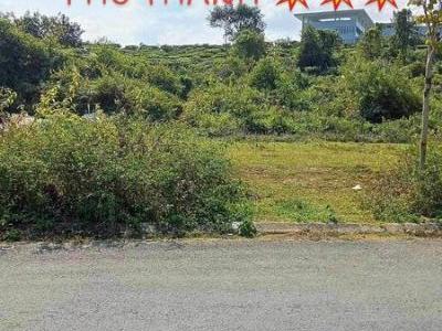 Cần bán mảnh đất Tổ 28 Đông Phong Lai Châu