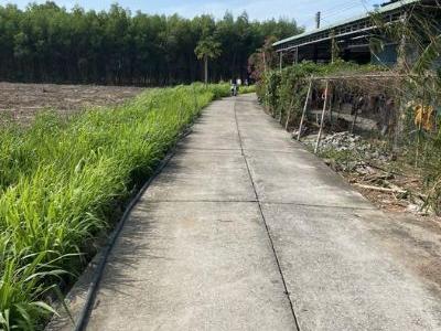 Cần bán lô đất rộng 280,4m2 mt bê tông xe hơi như hình Láng Dài, Đất Đỏ cách QL55 800m