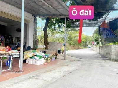 Đất vừa kinh doanh nhà trọ được Tại Thiện Kế- Bình Xuyên