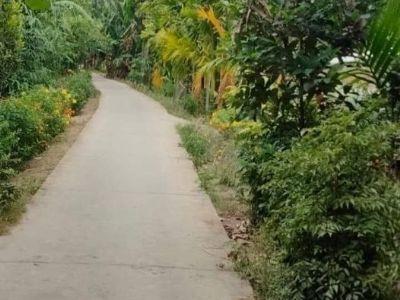 Bán đất ấp 8 Ba Trinh Ngang 15,5 dài 32  Pháp lí CLN _ sổ hồng sẵn