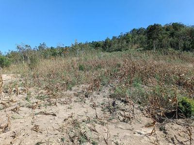 Đất giá rẻ tại xã iale huyện Chuphuh Gialai.Tổng diện tích khoảng 10 ha.