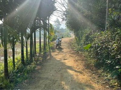 Cần thanh khoản lô đất rộng 475m full đất ở, mặt tiền 18m nở hậu Kim Bôi Hoà Bình