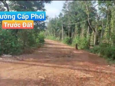CHÀO BÁN LÔ ĐẤT MẶT TIỀN Đ TỈNH LỘ 662, XÃ IA MARON, H. IAPA, GIA LAI