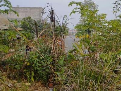 BÁN ĐẤT ở khu đô thị Rubi Garden Yên Bái