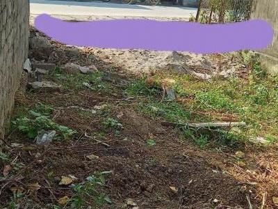 Giá chỉ 7xx HÀNG TUYỂN 1 LÔ DUY NHẤT. CHỦ CẦN TIỀN NÊN GIÁ CẮT LỖ CỰC SÂU Lộc Môn, Xã Liên Sơn HB
