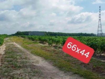 Chủ Cần Bán lô đất xào đối diện KCN BECAMEX
