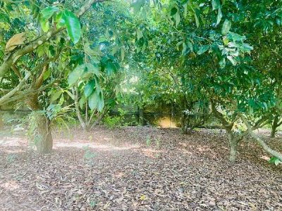 Bán lô đất đẹp hơn 1000m2 bám đường 317 Thành Phố Hoà Bình
