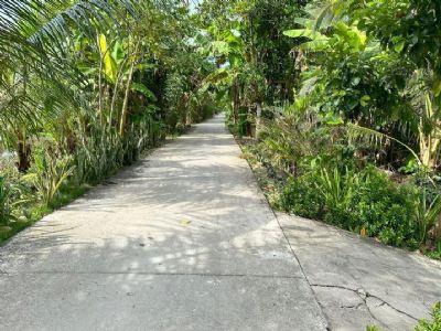 Cần bán lô đât đẹp tại Phụng Hiệp - Hậu Giang