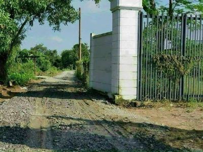 BÁN VƯỜN MĂNG CỤT P. TÂN AN ĐƯỜNG ÔTÔ VI VU TÂN AN TDM