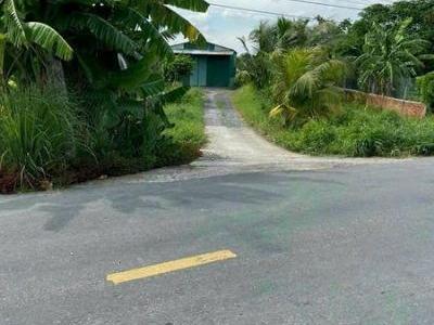 Anh chủ cần bán 1500m2 đất lúa 20x74 ở ấp 4 xã an Thạnh bến lức Long An