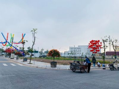 HÀNG SIÊU VÍP- ĐẤT CỰC ĐẸP LK3-35 KĐT Trái Diêm 3 - Tiền Hải Thái Bình