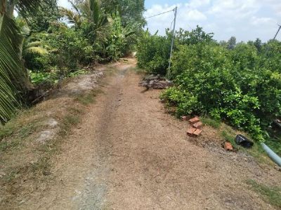 Bán 4c6 đất thuộc xã thanh mỹ , Tháp Mười ,Đồng Tháp