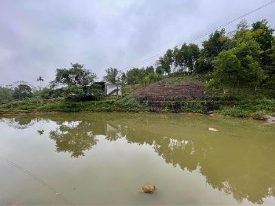 Siêu phẩm nghỉ dưỡng bám suối, có ao đẹp tại Kim Bôi-Hoà Bình.