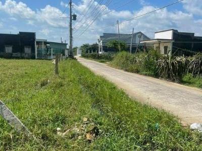 BÀ CHỊ ĐI MỸ GỬI EM BÁN NHANH 2 SÀO HÀM MỸ - HTN - BÌNH THUẬN Thưởng Nóng 150Tr