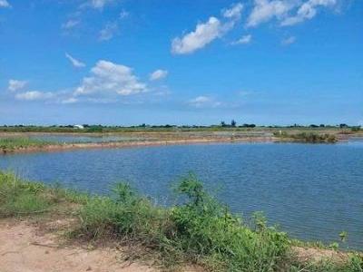 Bán 20 công vuông ấp 12 xã Vĩnh Hậu huyện Hòa Bình tỉnh Bạc Liêu