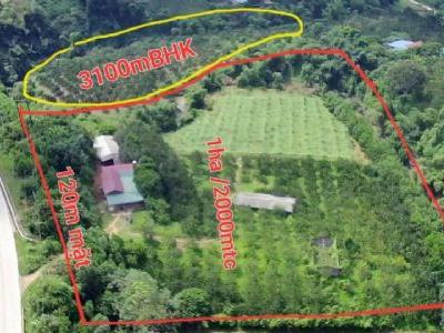 một siêu phẩm bám mặt Hồ Chí Minh ở yên Thủy hòa Bình Tổng diện tích 1 ha Thổ cư 2000m