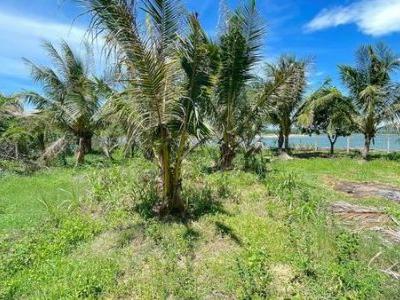 LÔ ĐẤT VIEW SÔNG TẠI GÀNH ĐỎ_PHƯỜNG XUÂN ĐÀI_SÔNG CẦU_PHÚ YÊN