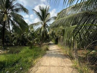 CẦN BÁN 1500M ĐẤT VƯỜN - ẤP LONG HOÀ A- XÃ ĐẠO THẠNH- TP MỸ THO