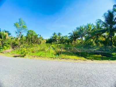 BÁN ĐẤT NỀN CÓ THỔ CƯ XÃ TRÀ CÔN - HUYỆN TRÀ ÔN - VĨNH LONG