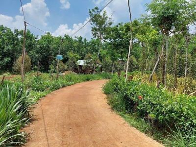 Đất cực rẻ Lộc Ninh Bình Phước đây anh chị. Đường bê tông sổ sẵn như hình.