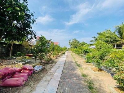 Bán Nhà Vườn Phường Tân Xuyên Tp Cà Mau