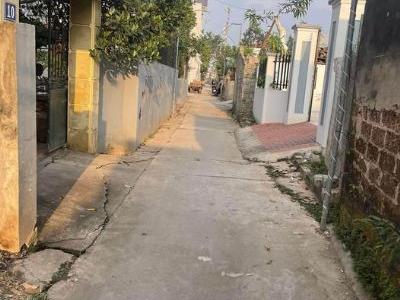 VỚI 500 triệu hơn có SỔ ĐỎ THỔ CƯ gần KHU CÔNG NGHIỆP tại Nguyễn Trãi Thường Tín HN Diện tích: 50m