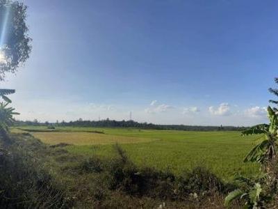 Xã Cư M'gar 1 chiếc view xinh cánh đồng 2000m2