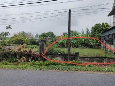 Đất cẩm xuyên đường gần 30m. Trước 1ty2 không bán. Nay có việc bán lỗ chi có 840tr