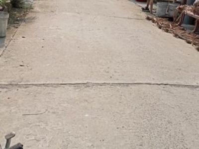 Cần Bán Nền Thuộc xã Mỹ trà Tp.Cao Lãnh - Đồng Tháp