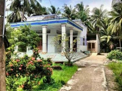 Bán Nhà Và Đất Thuộc Hương Mỹ ,Mỏ Cày Nam Bến Tre