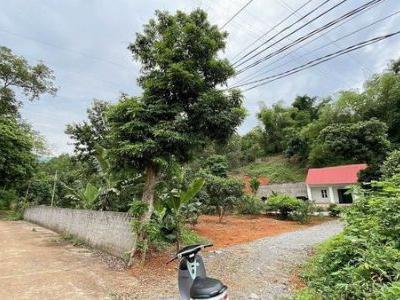 Cần bán 1 lô đất có tổng dt 700m Thôn Xi Măng- Xã Cam Đường -Tp Lào Cai