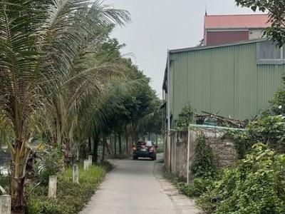 Em chính chủ không có nhu cầu ở nên muốn nhượng lại mảnh đất.