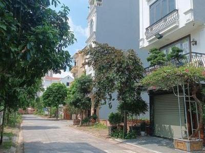 Khu Đấu Giá Tứ Hiệp - phân lô, ô tô tránh, vỉa hè kinh doanh