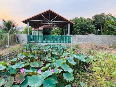 CẦN TÌM CHỦ MỚI CHO 300MV ĐẤT CLN- GẦN ĐƯỜNG PHAN ĐĂNG LƯU- P. ĐÔ VINH- TP PHAN RANG - THÁP CHÀM