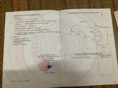 Gia đình em có mảnh đất TP Yên Bái rộng 10.000m² có thể làm trang trại cần bán.