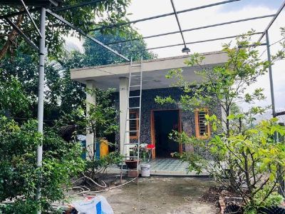 CHỦ GỬI BÁN 1000m lúa  tại ấp 5 Tân Bửu - Bến Lức - Long An