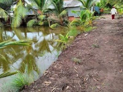 Chủ Ngộp Cần Bán Gấp 8,5 công Vuông Nuôi Tôm, Cua và trồng Lúa xen kẽ Phước Long huyện Phước Long