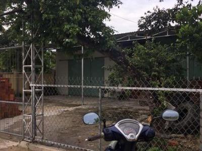 góc cho thuê nhà cách đường trần phú nối dài 500m Tam Kỳ, đường bê tông 6m.