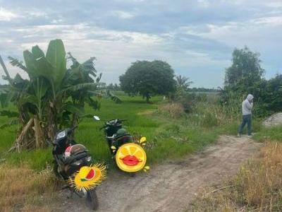 Đất Ruộng Giá Rẻ khu vực Vĩnh Thành CHÂU THÀNH  An Giang Gần 30m mặt tiền tiếp giáp mương thủy lợi