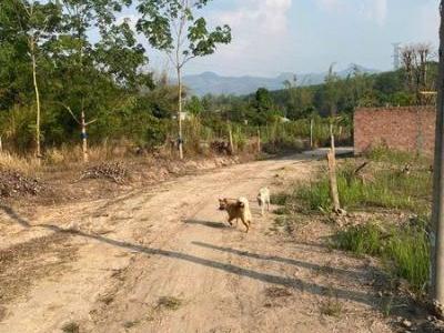 Chỉ 99 triệu có lô đất hẻm Ngô Đức Đệ, p Trần Hưng Đạo Kon Tum