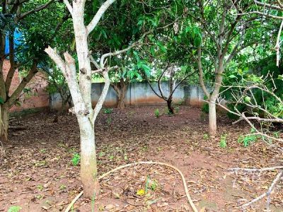 Cho thuê nhà vườn nguyên căn Hoà Long tp Bà Rịa.